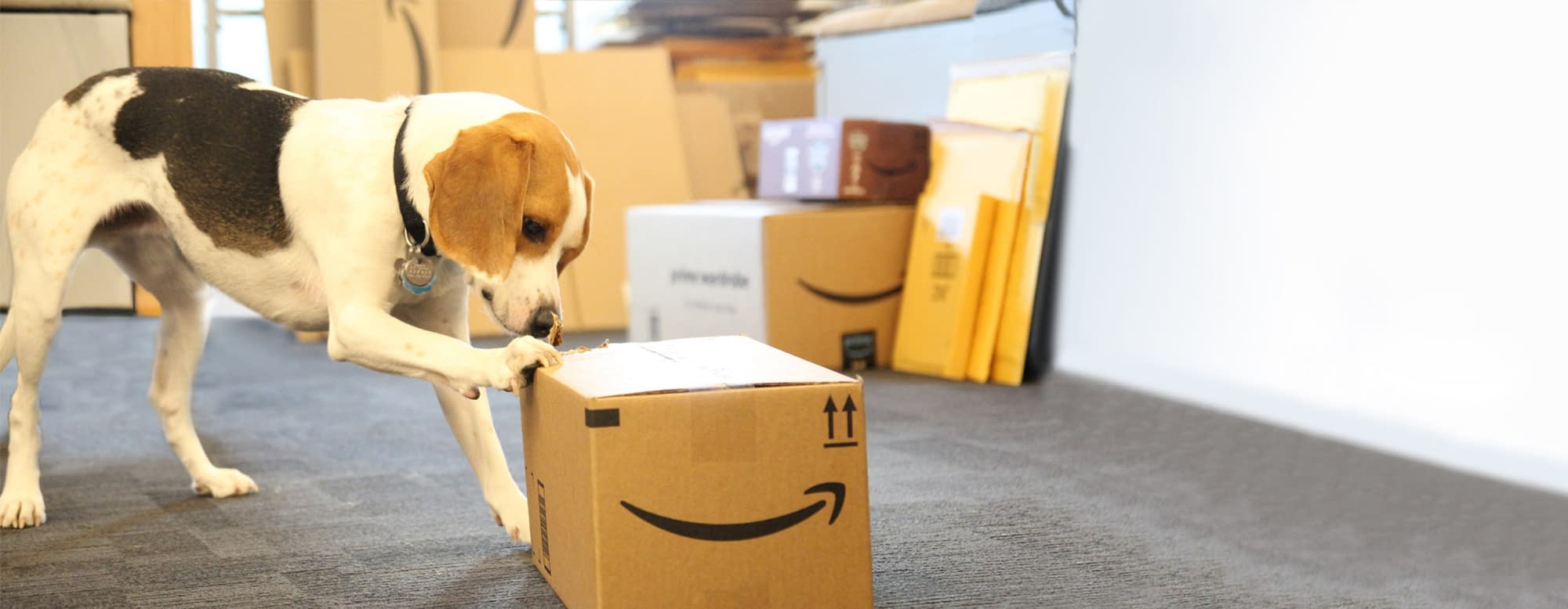 amazon-frustration-free-packaging