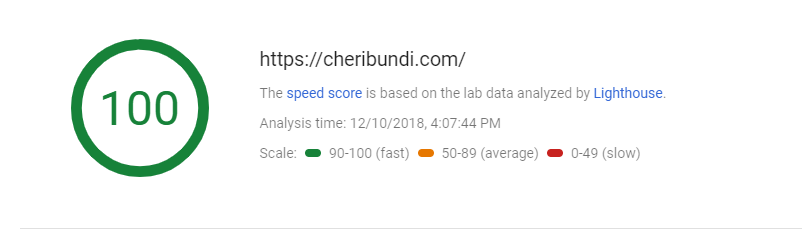 seo ecommerce guide google page speed insights